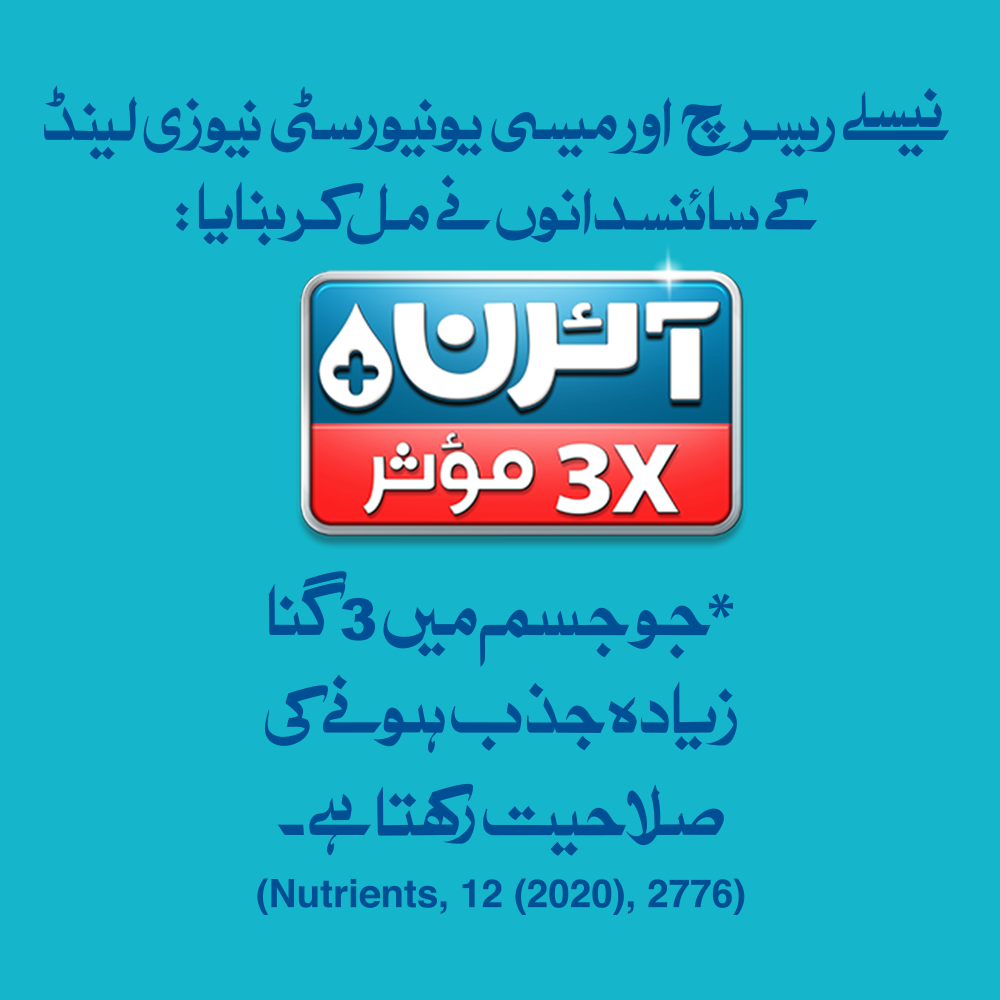 NESTLE BUNYAD Powder 600g Pouch